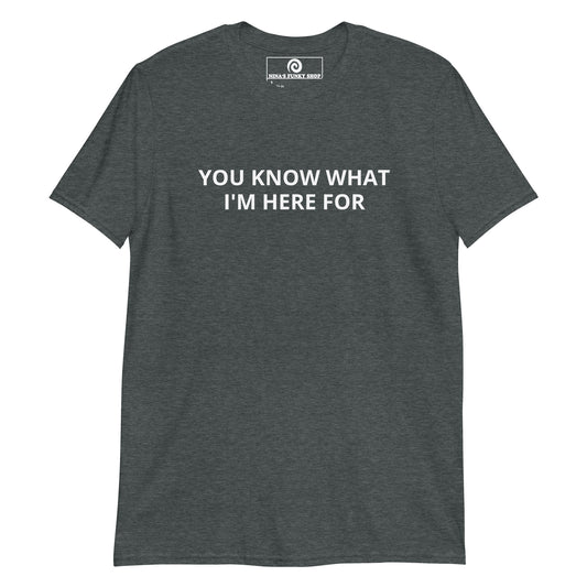 Dark Gray You Know What I'm Here For T-Shirt