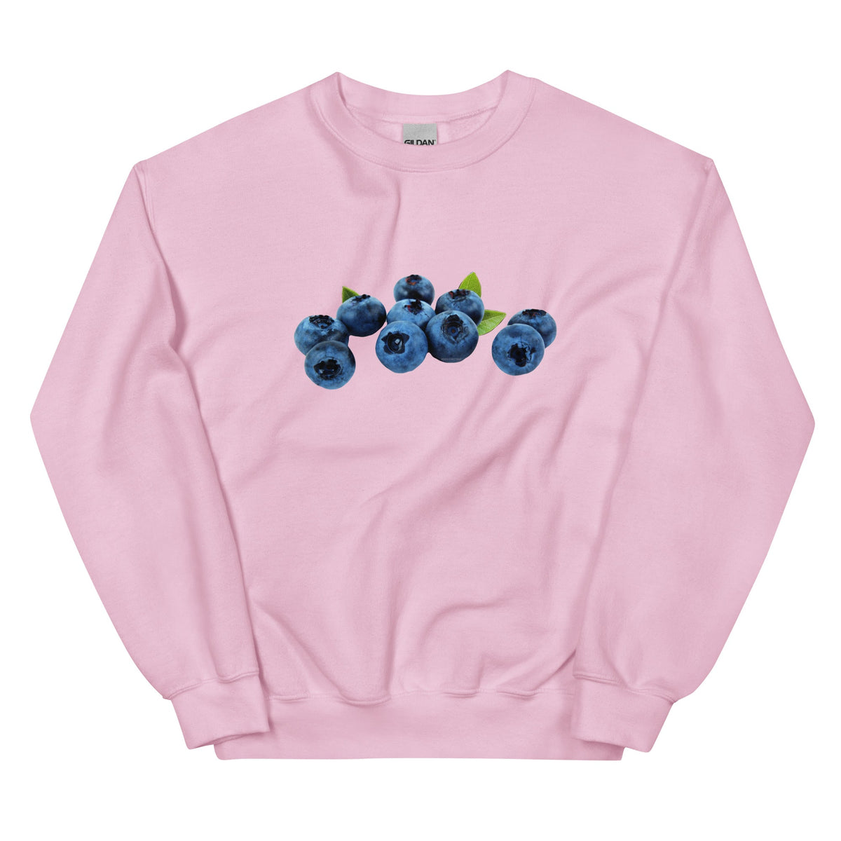 Blueberries Sweatshirt - ninanush