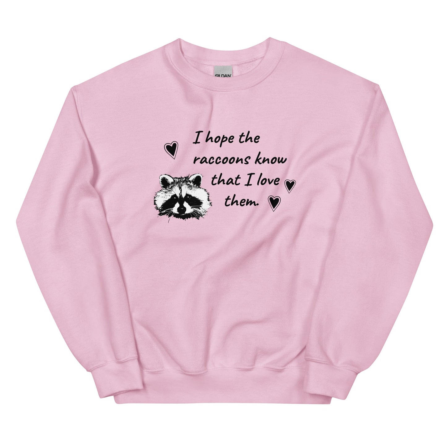 I Hope The Raccoons Know That I Love Them Sweatshirt - ninanush