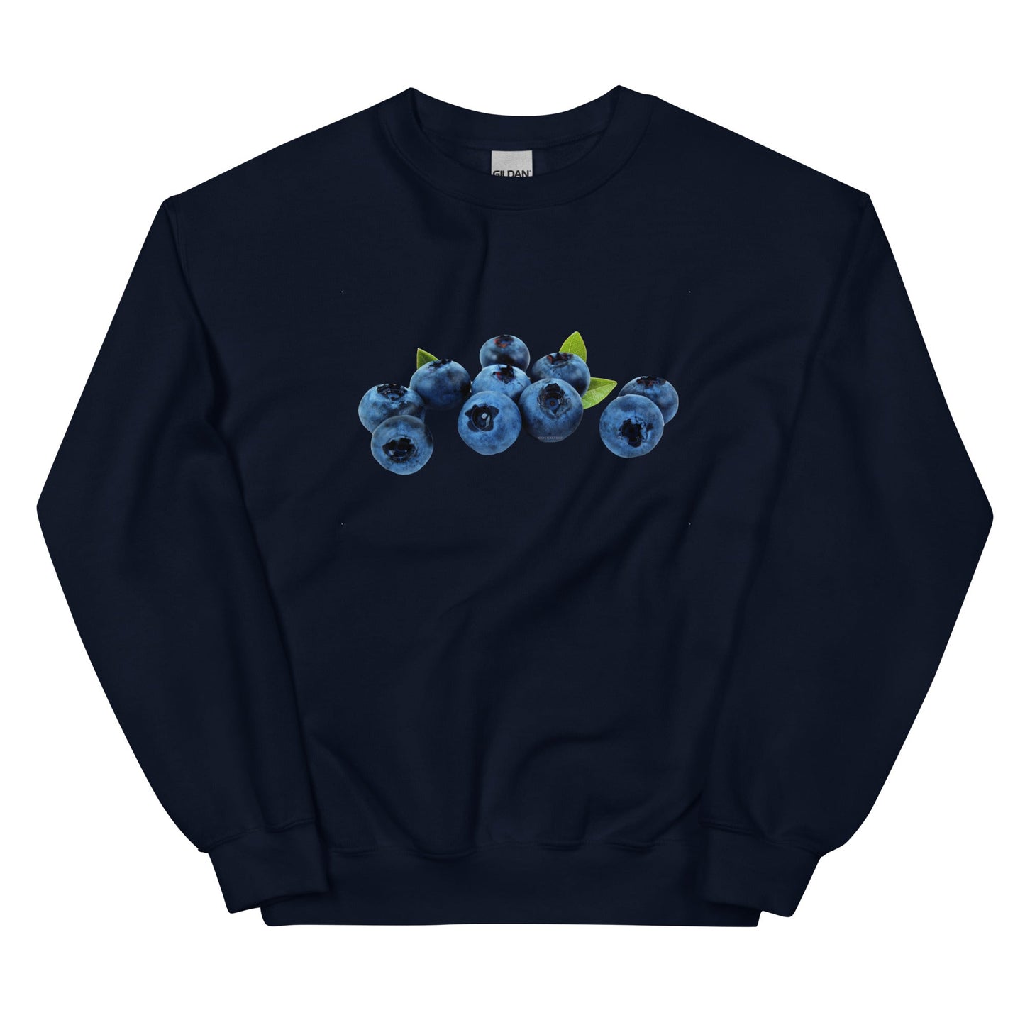 Blueberries Sweatshirt - ninanush