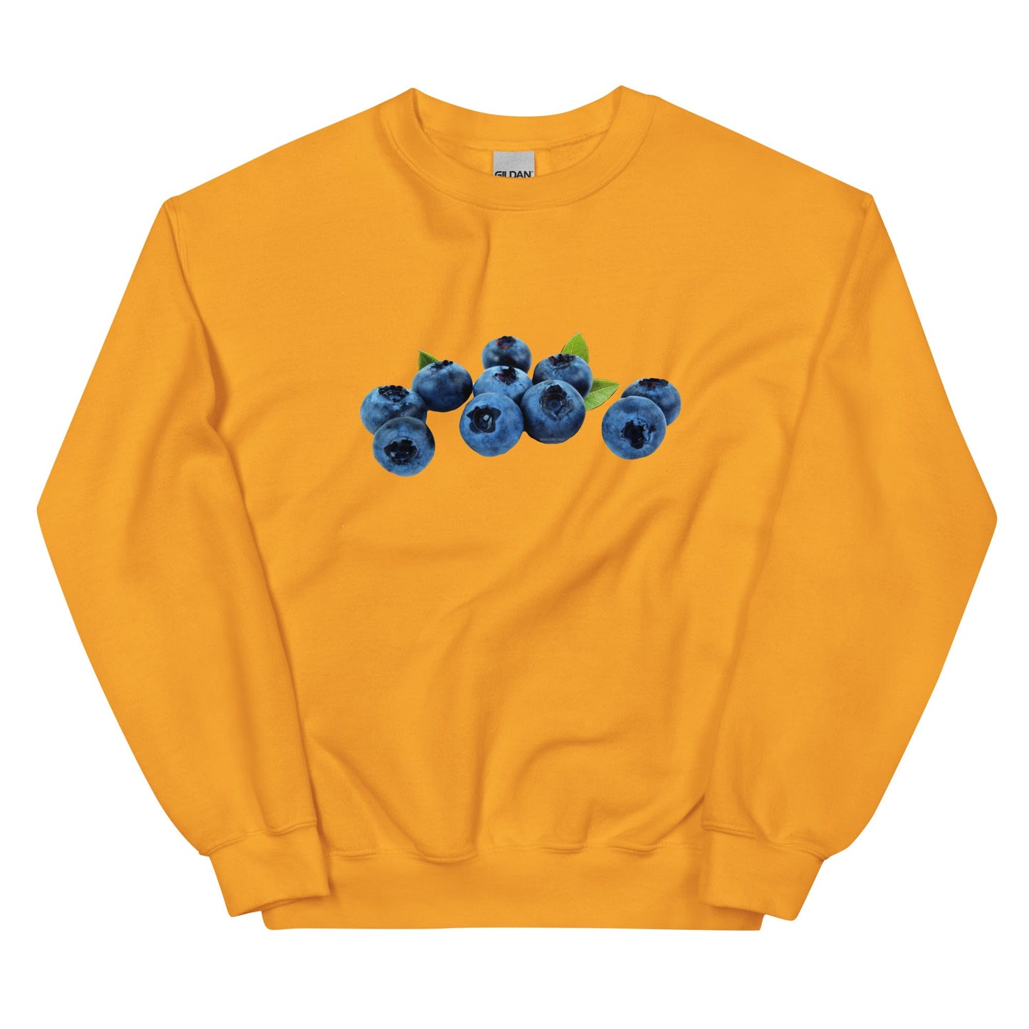 Blueberries Sweatshirt - ninanush