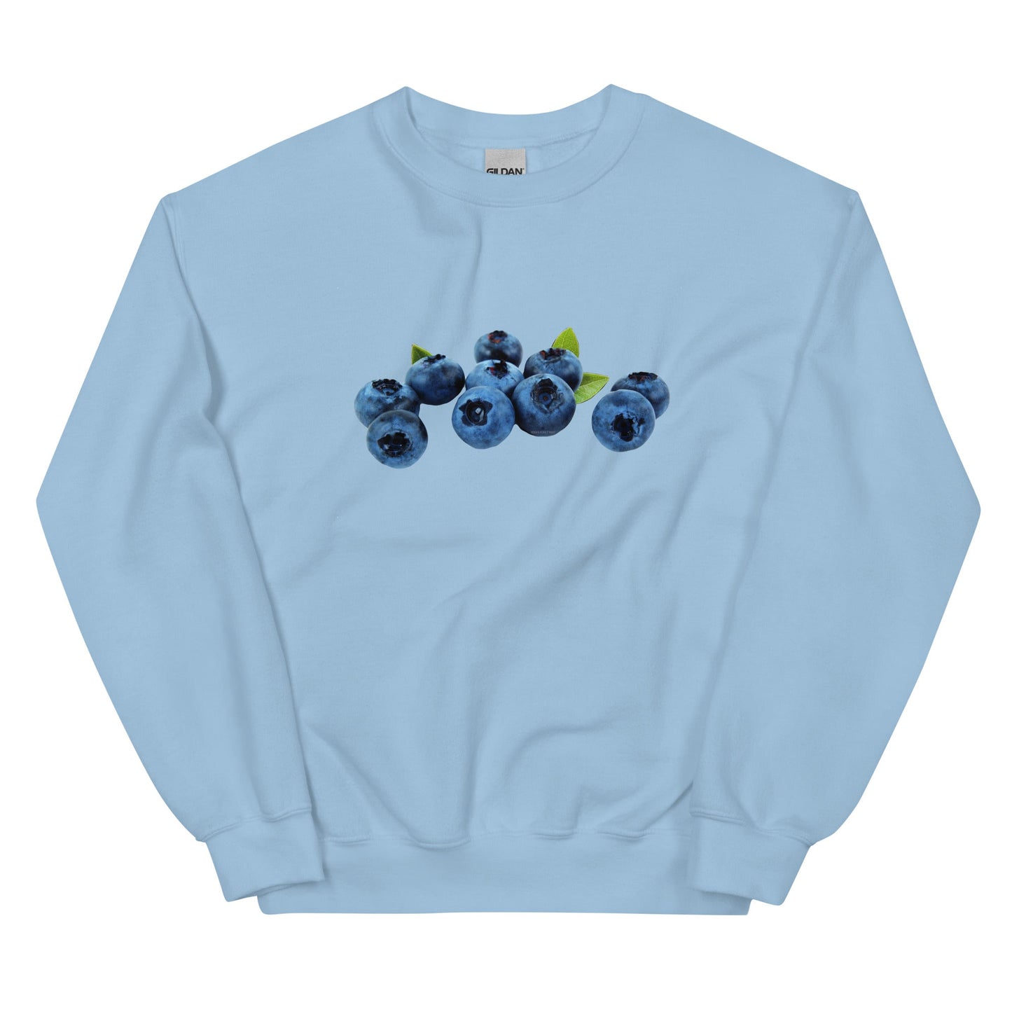 Blueberries Sweatshirt - ninanush