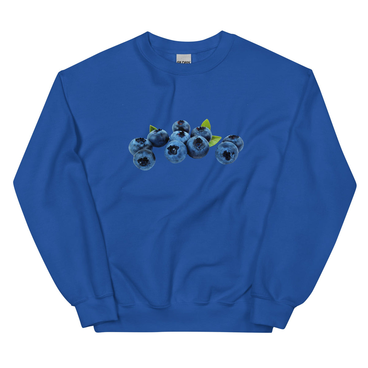 Blueberries Sweatshirt - ninanush