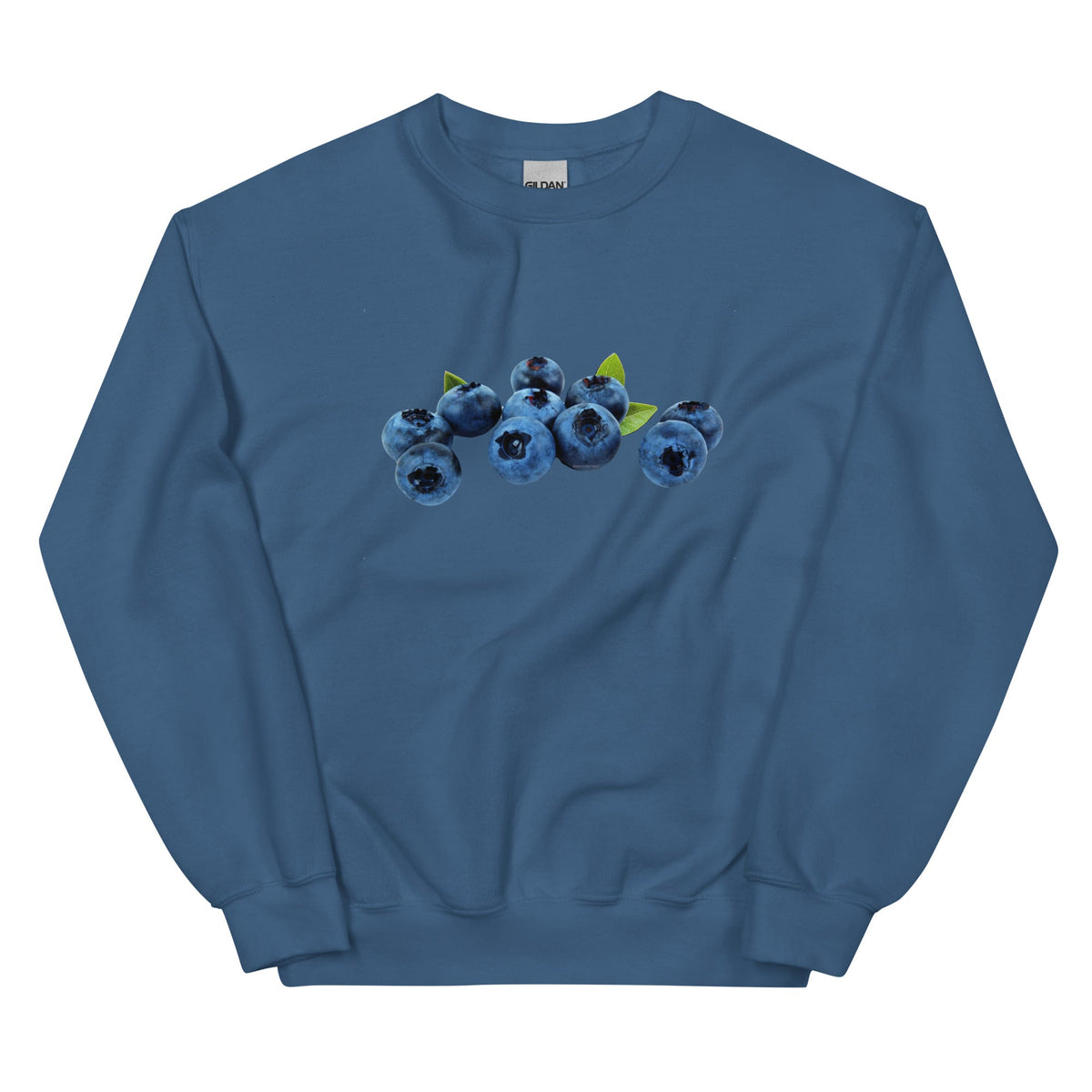 Blueberries Sweatshirt - ninanush