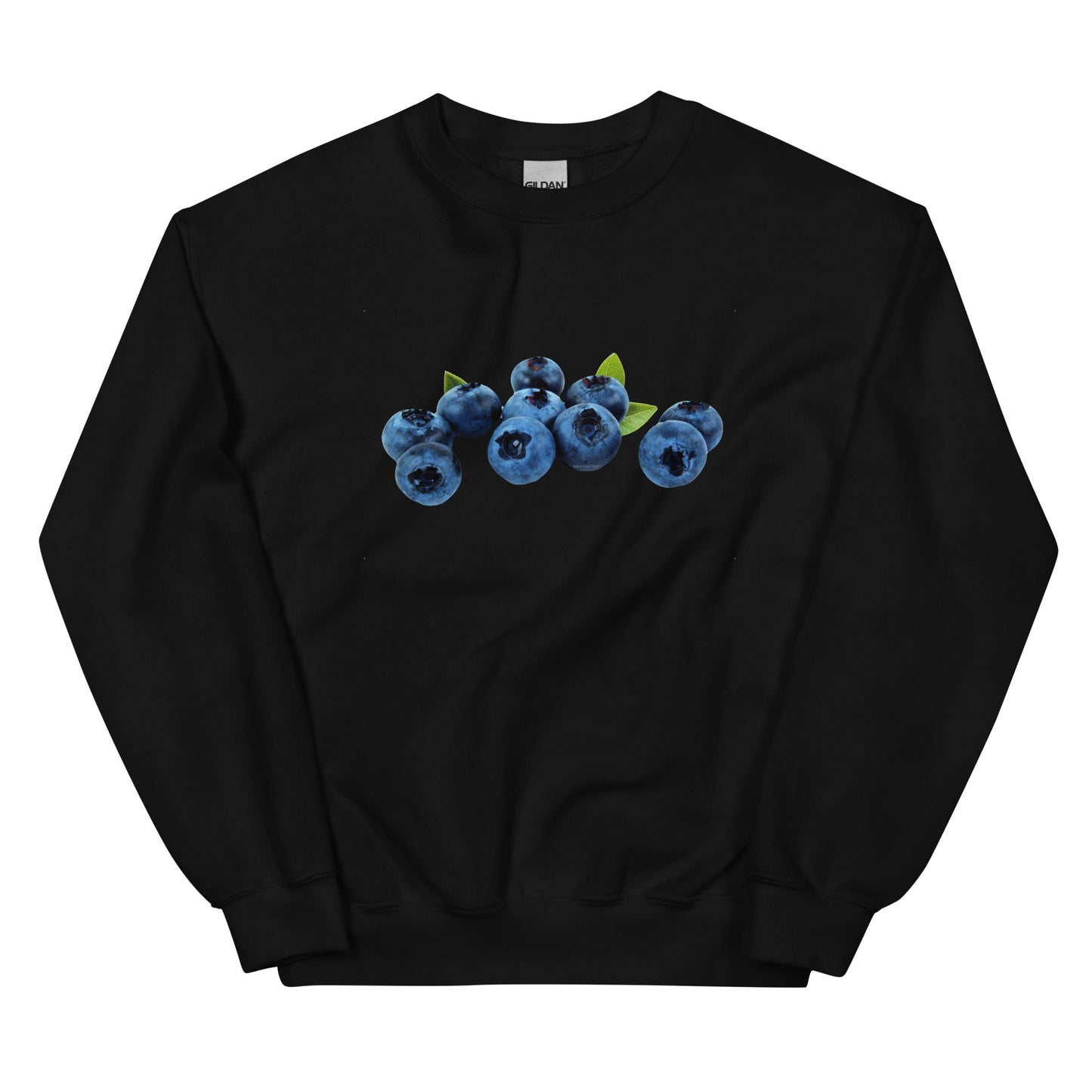 Blueberries Sweatshirt - ninanush