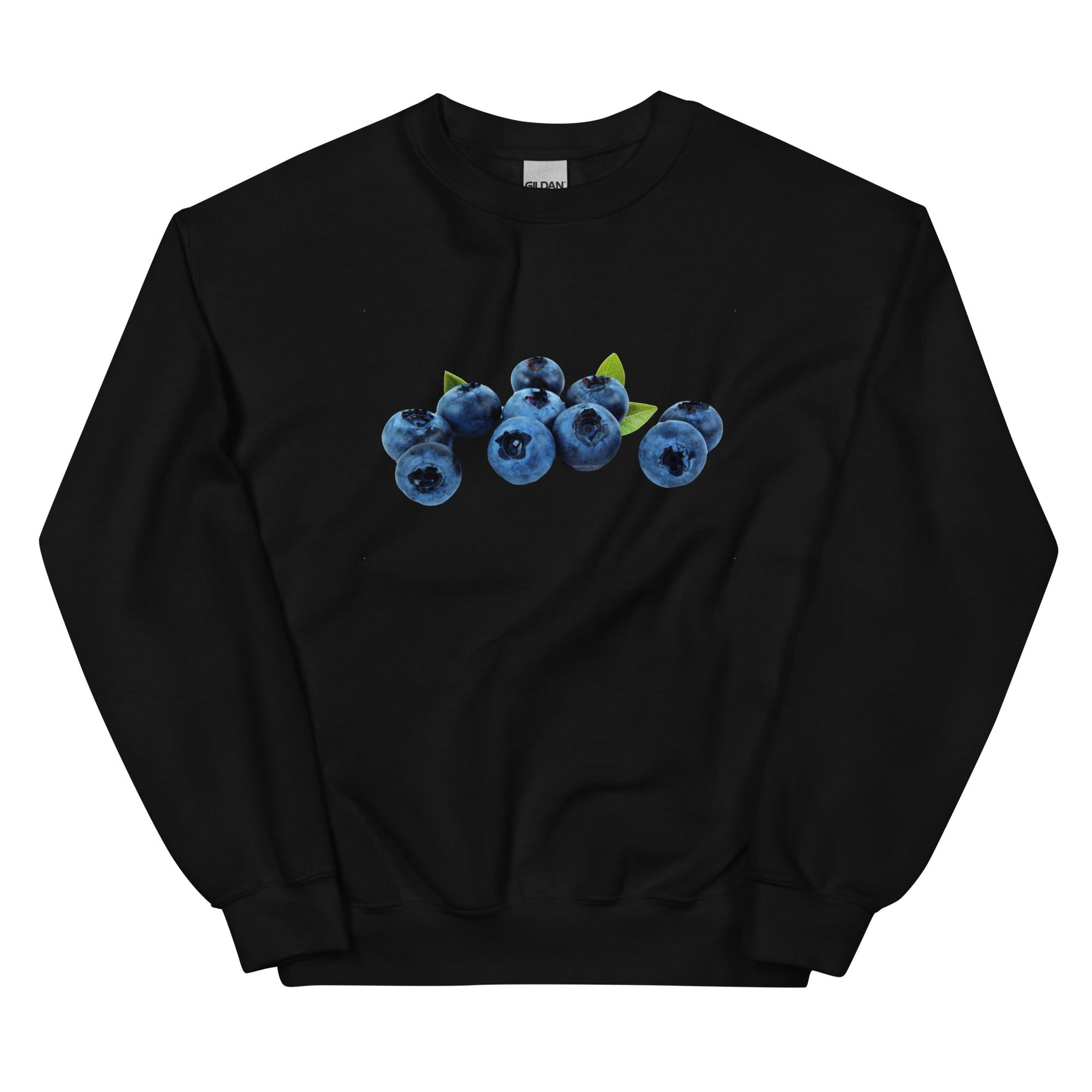 Blueberries Sweatshirt - ninanush