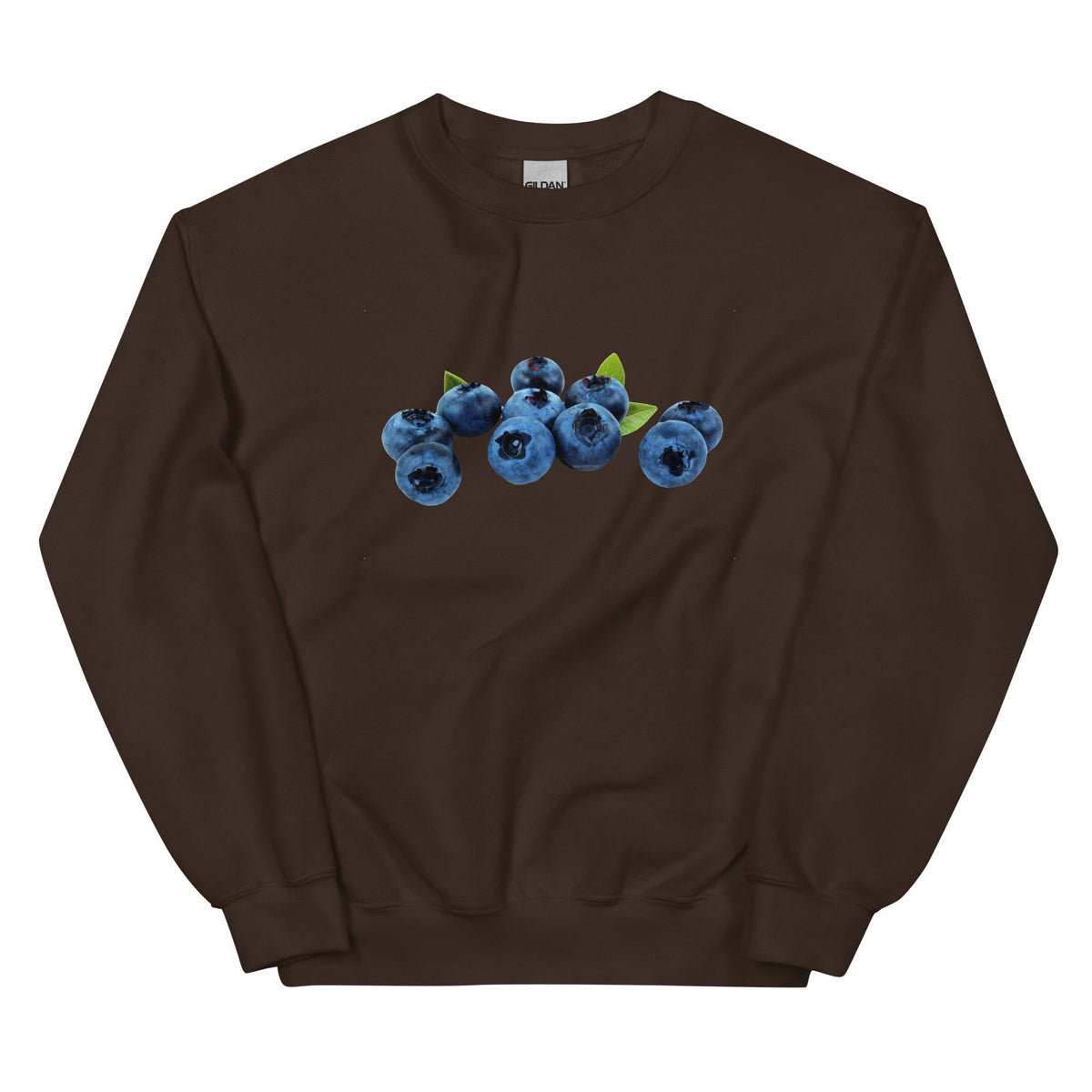 Blueberries Sweatshirt - ninanush