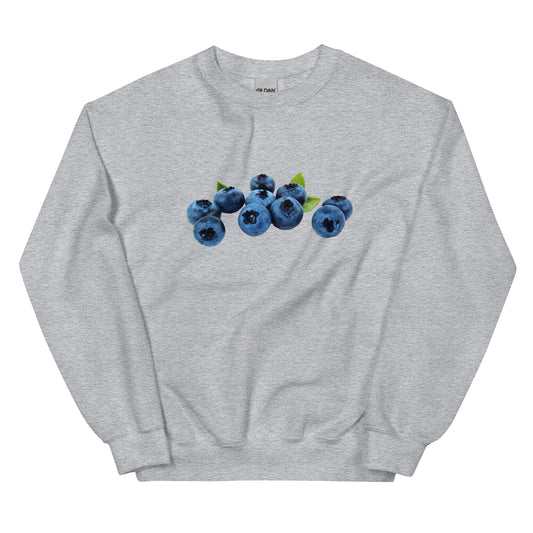 Blueberries Sweatshirt - ninanush