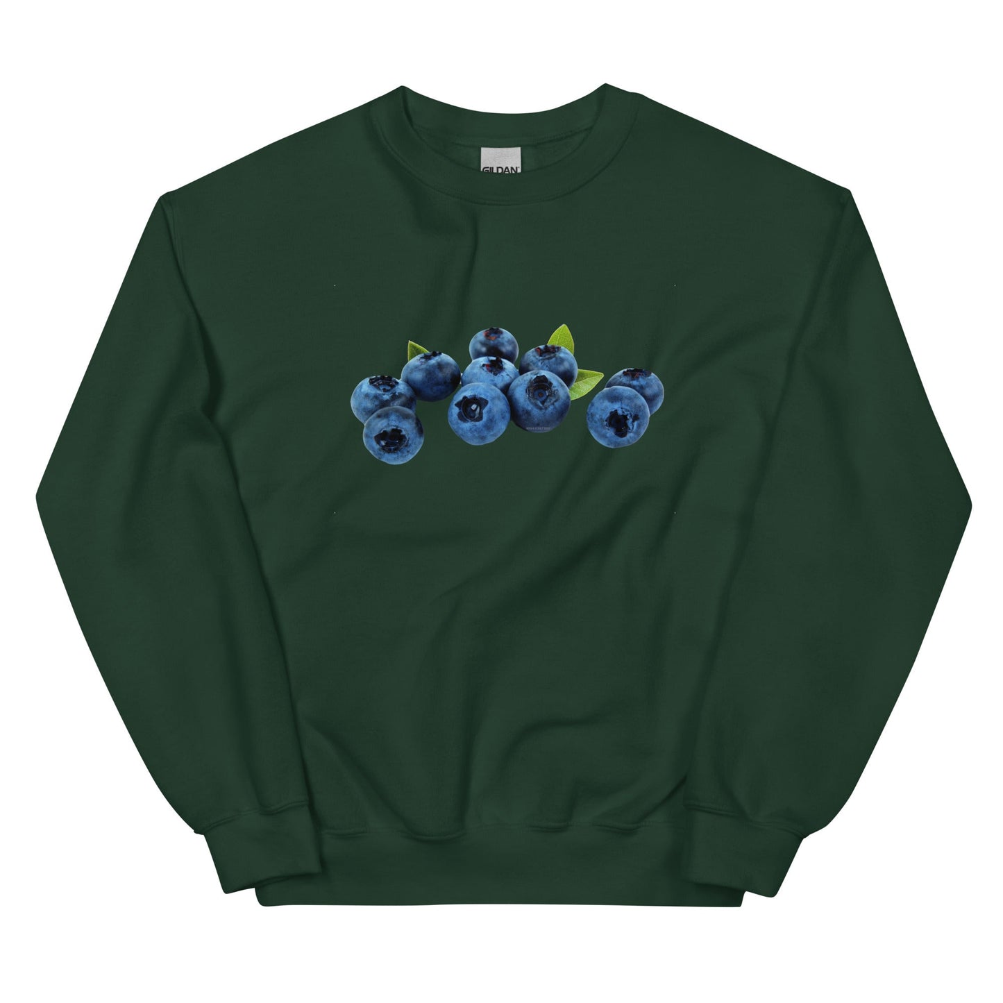 Blueberries Sweatshirt - ninanush