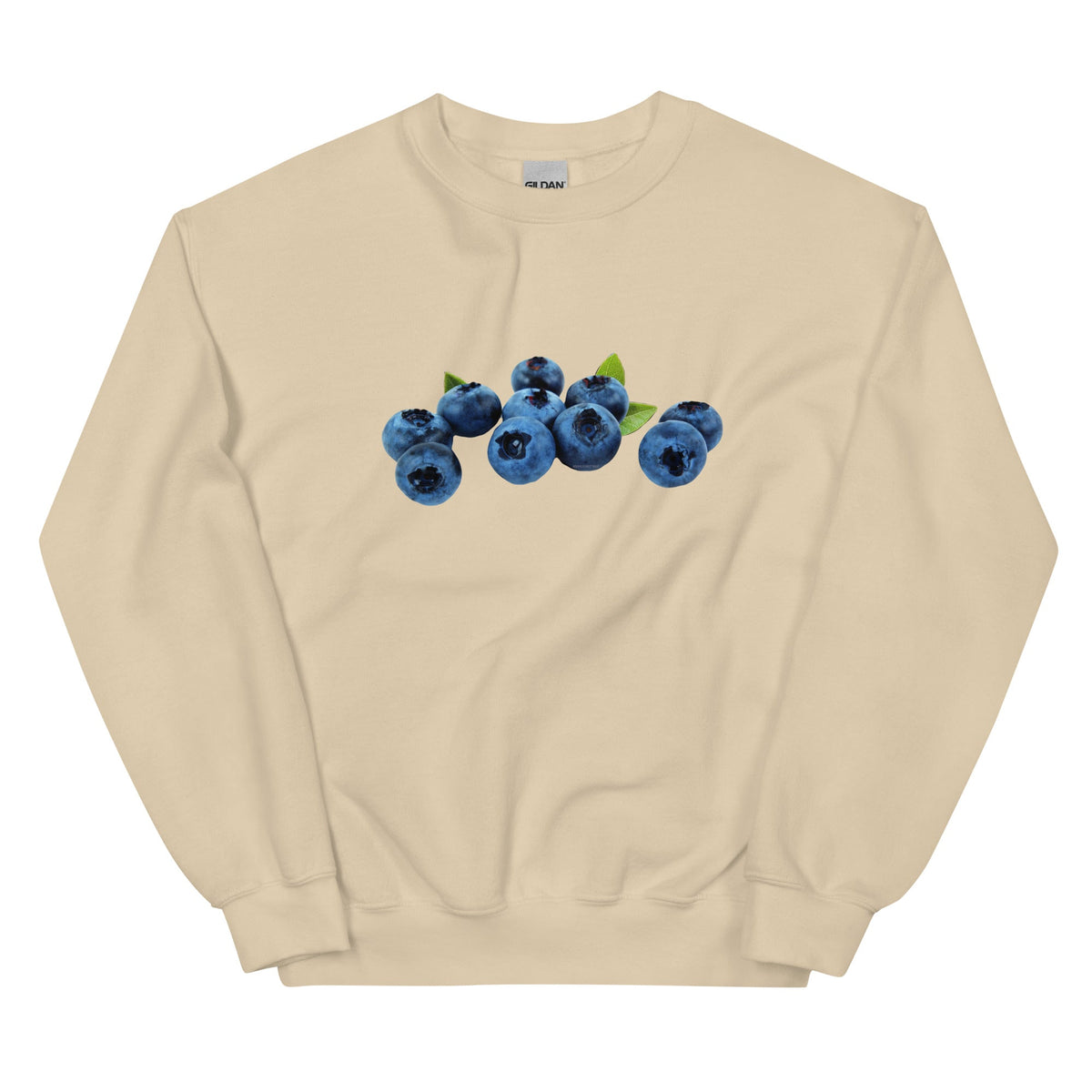 Blueberries Sweatshirt - ninanush