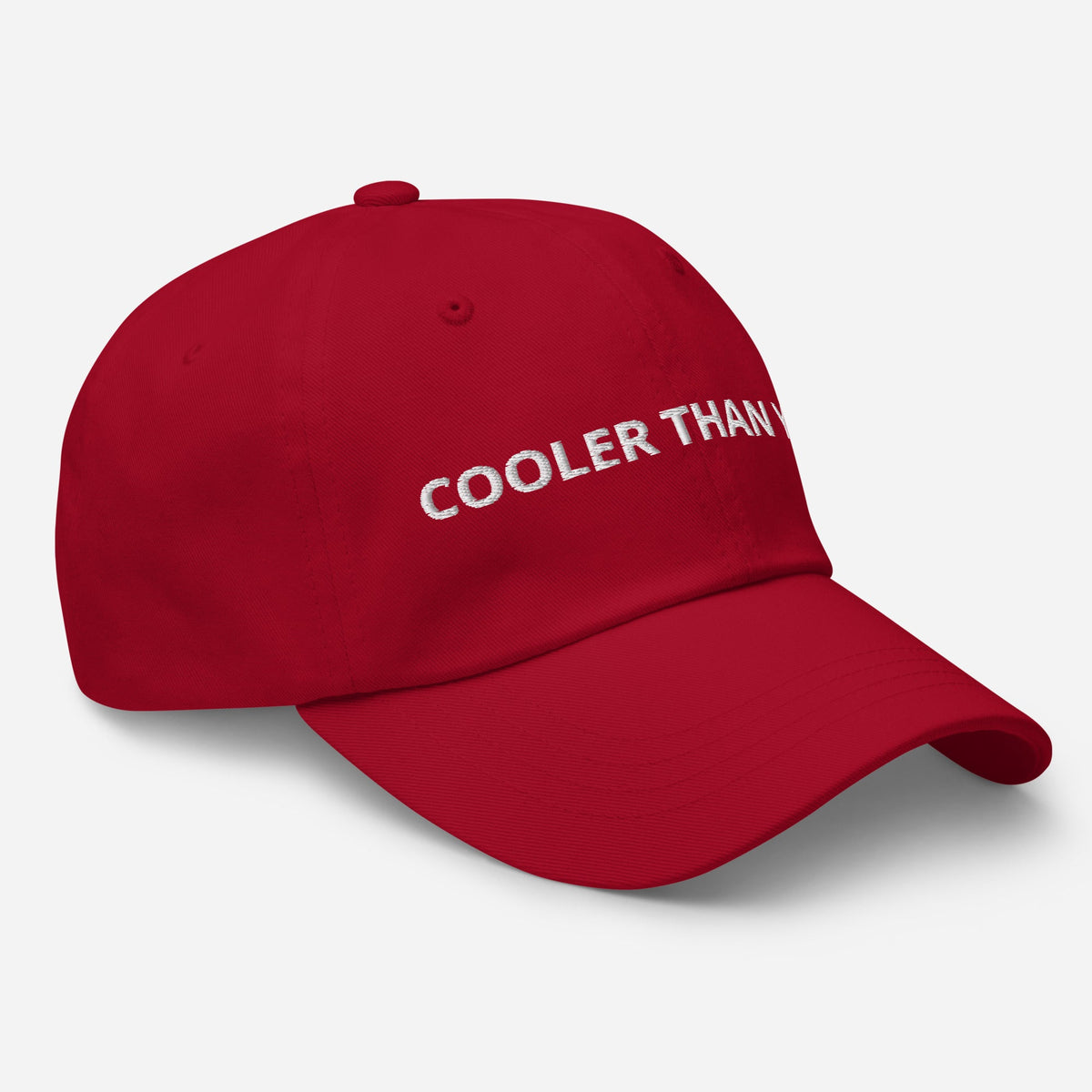 Cooler Than You Dad Hat - ninanush