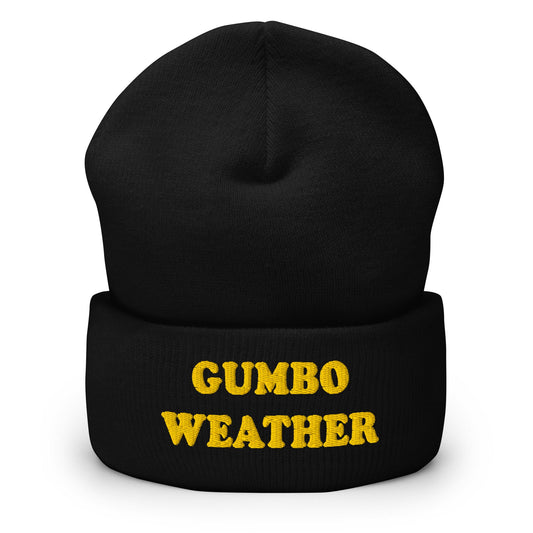 Gumbo Weather Cuffed Beanie - ninanush