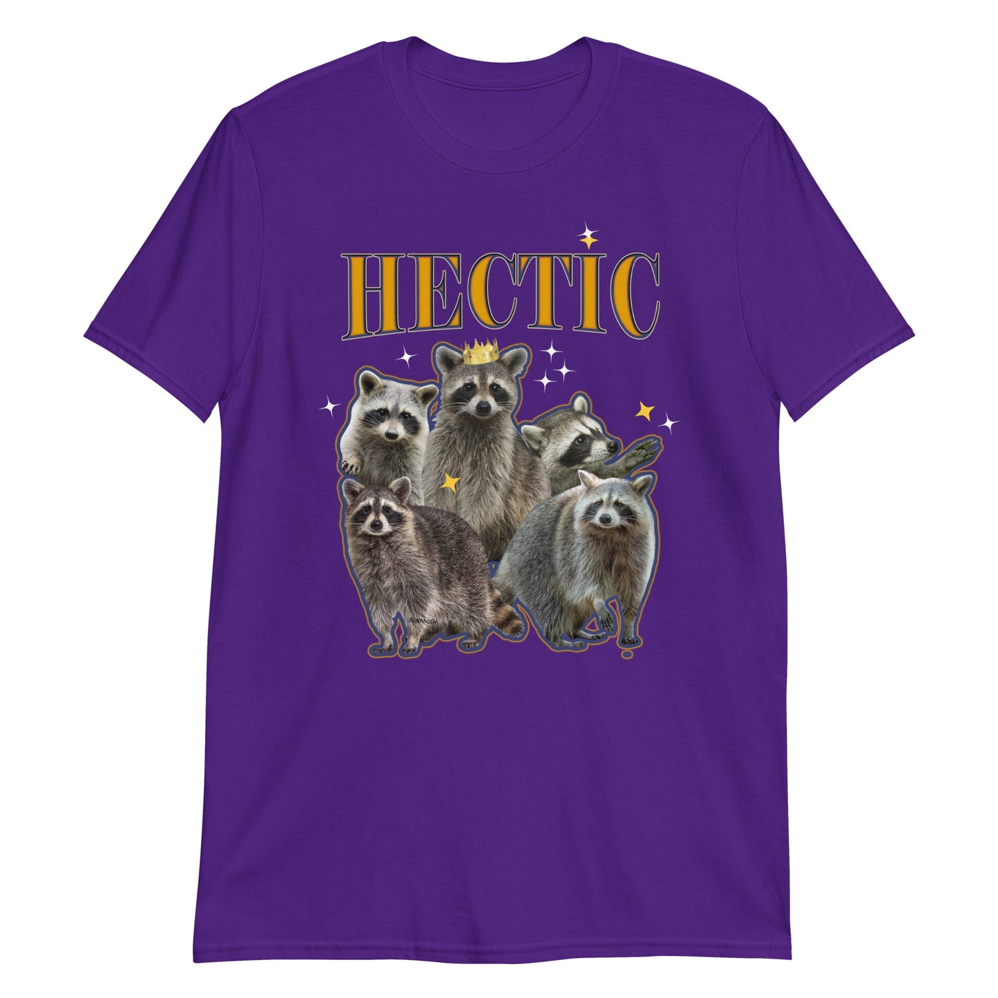 Hectic Raccoon T-Shirt - ninanush