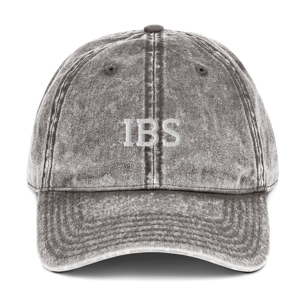 IBS Vintage Dad Hat - ninanush
