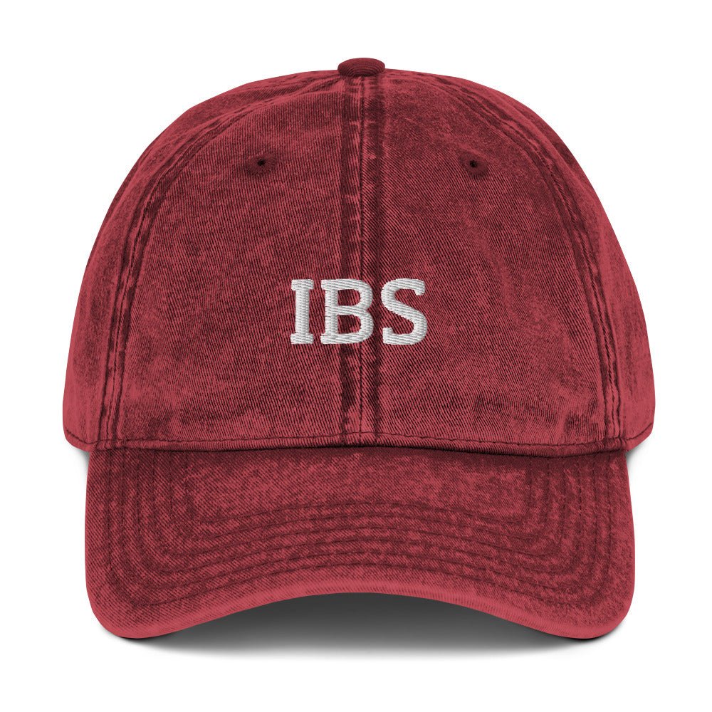IBS Vintage Dad Hat - ninanush