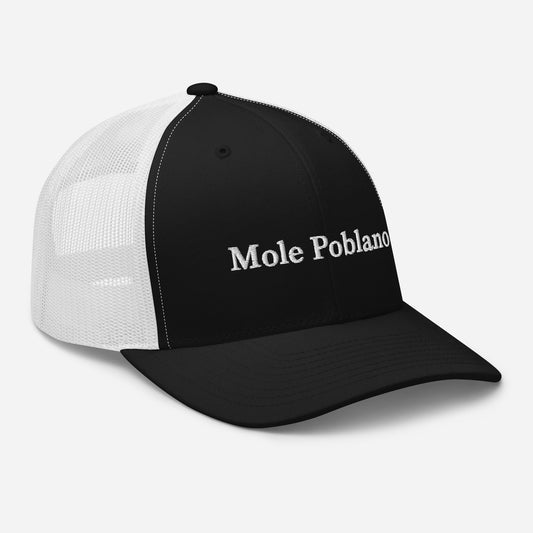 Mole Poblano Trucker Hat - ninanush