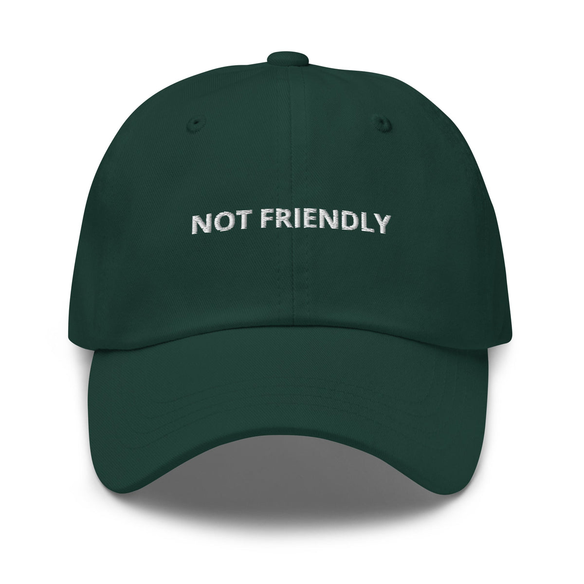 Not Friendly Dad Hat - ninanush