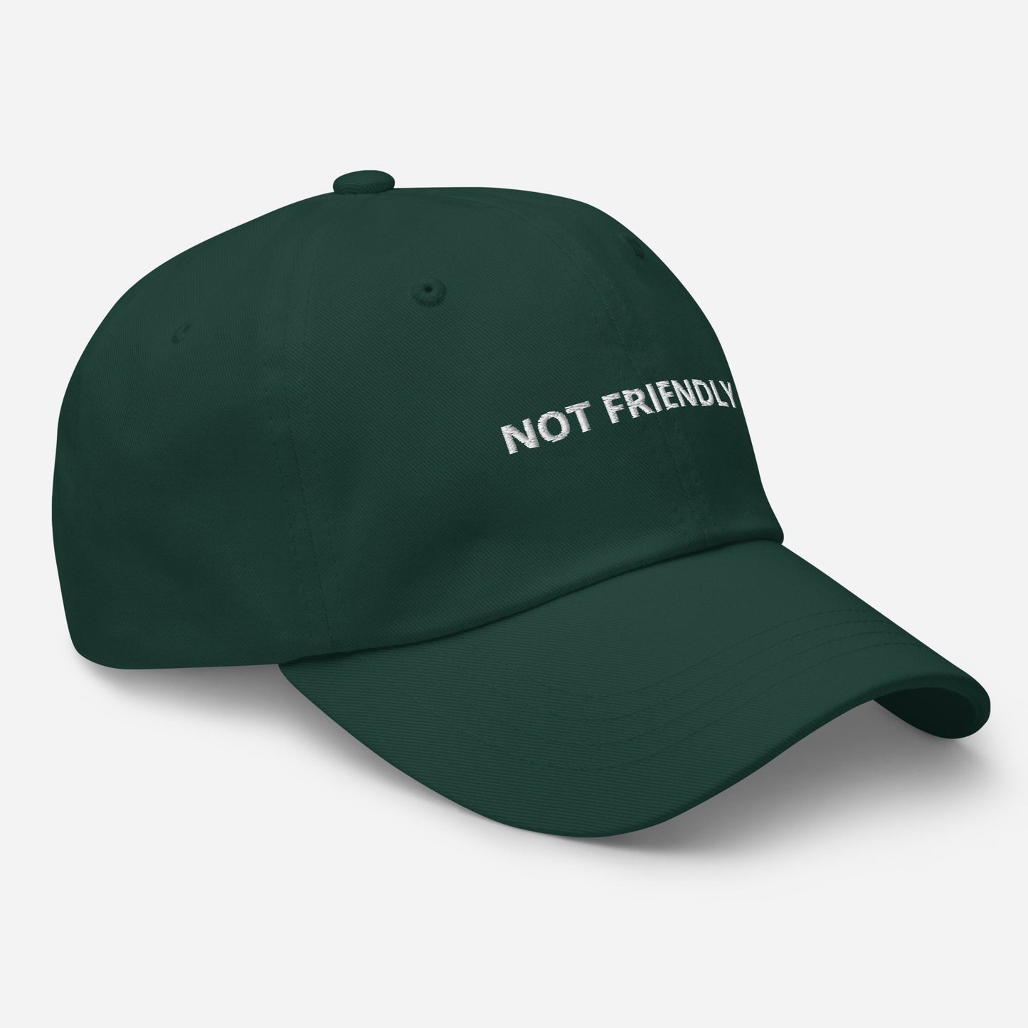 Not Friendly Dad Hat - ninanush