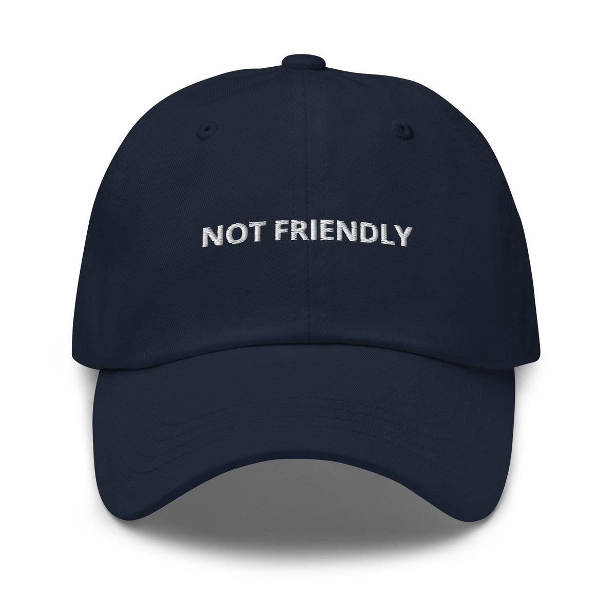 Not Friendly Dad Hat - ninanush