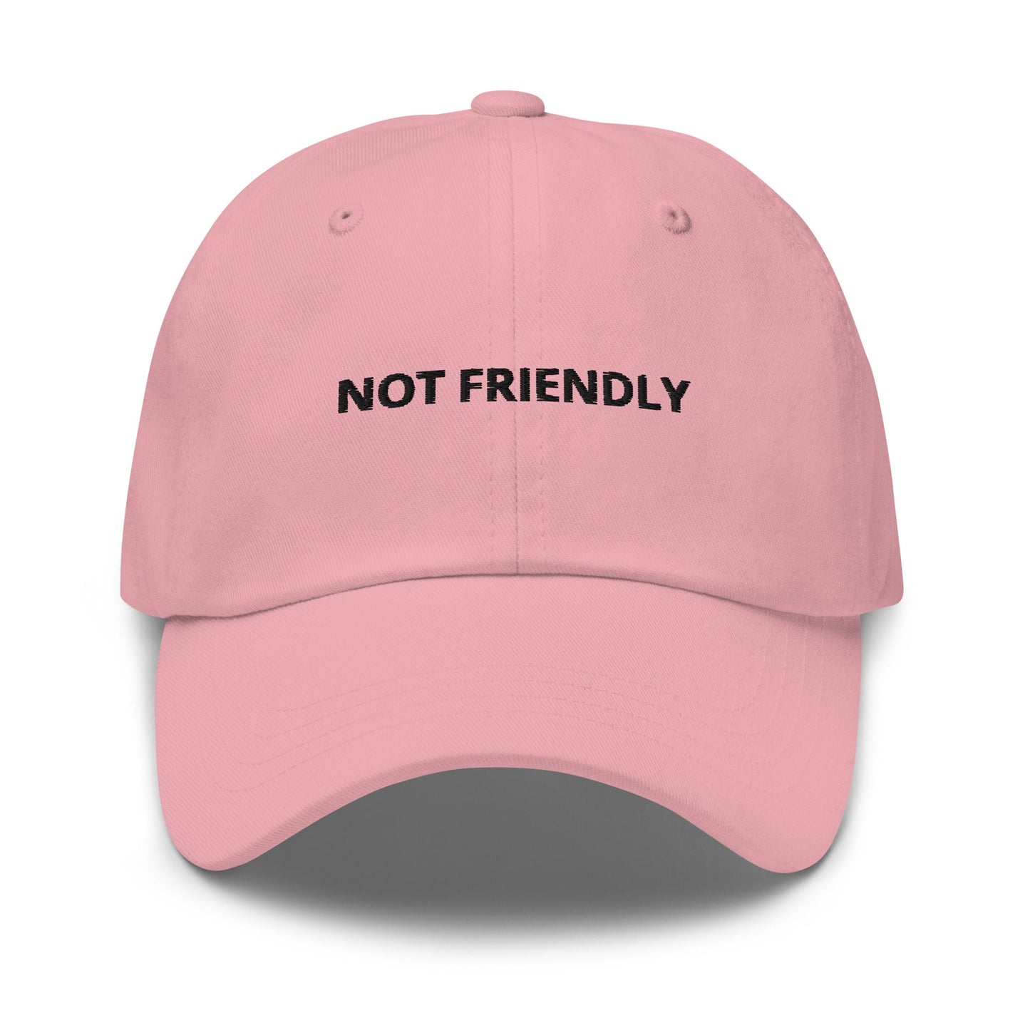 Not Friendly Dad Hat - ninanush