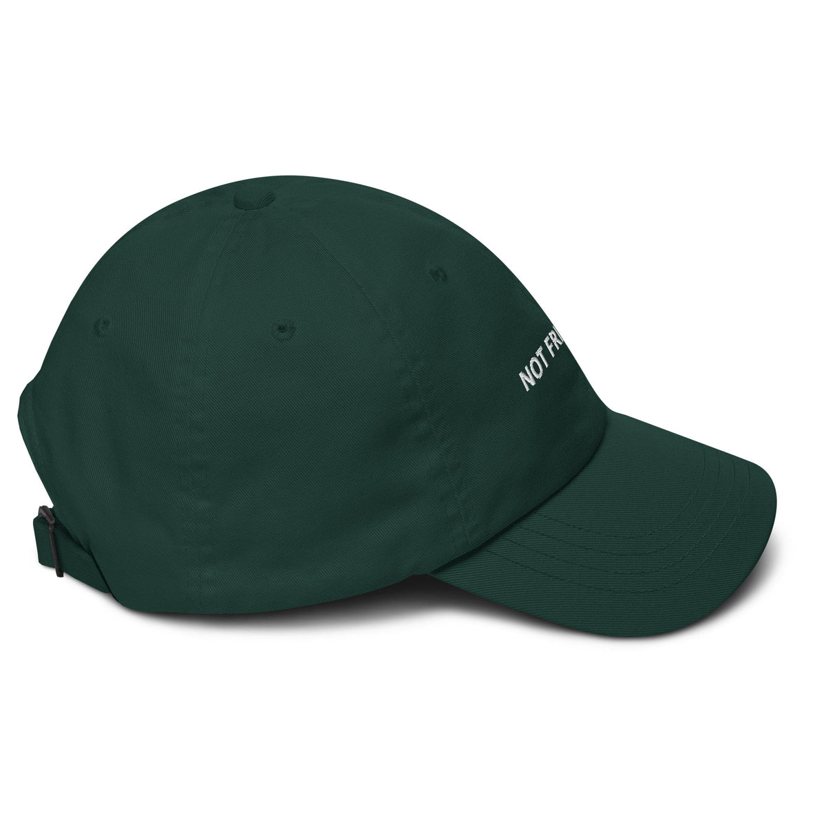 Not Friendly Dad Hat - ninanush