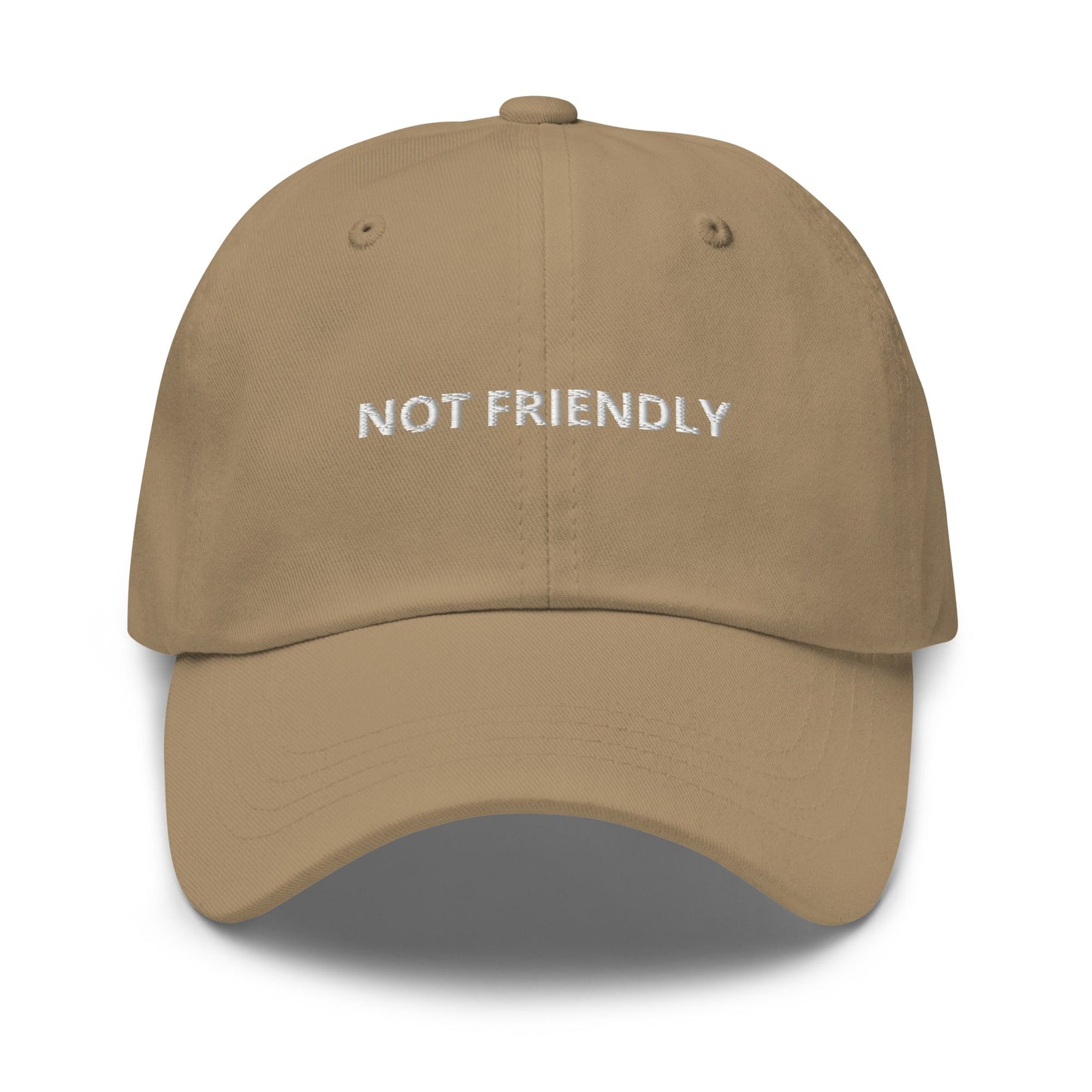 Not Friendly Dad Hat - ninanush