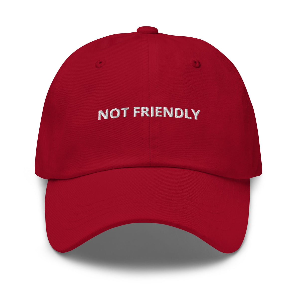 Not Friendly Dad Hat - ninanush