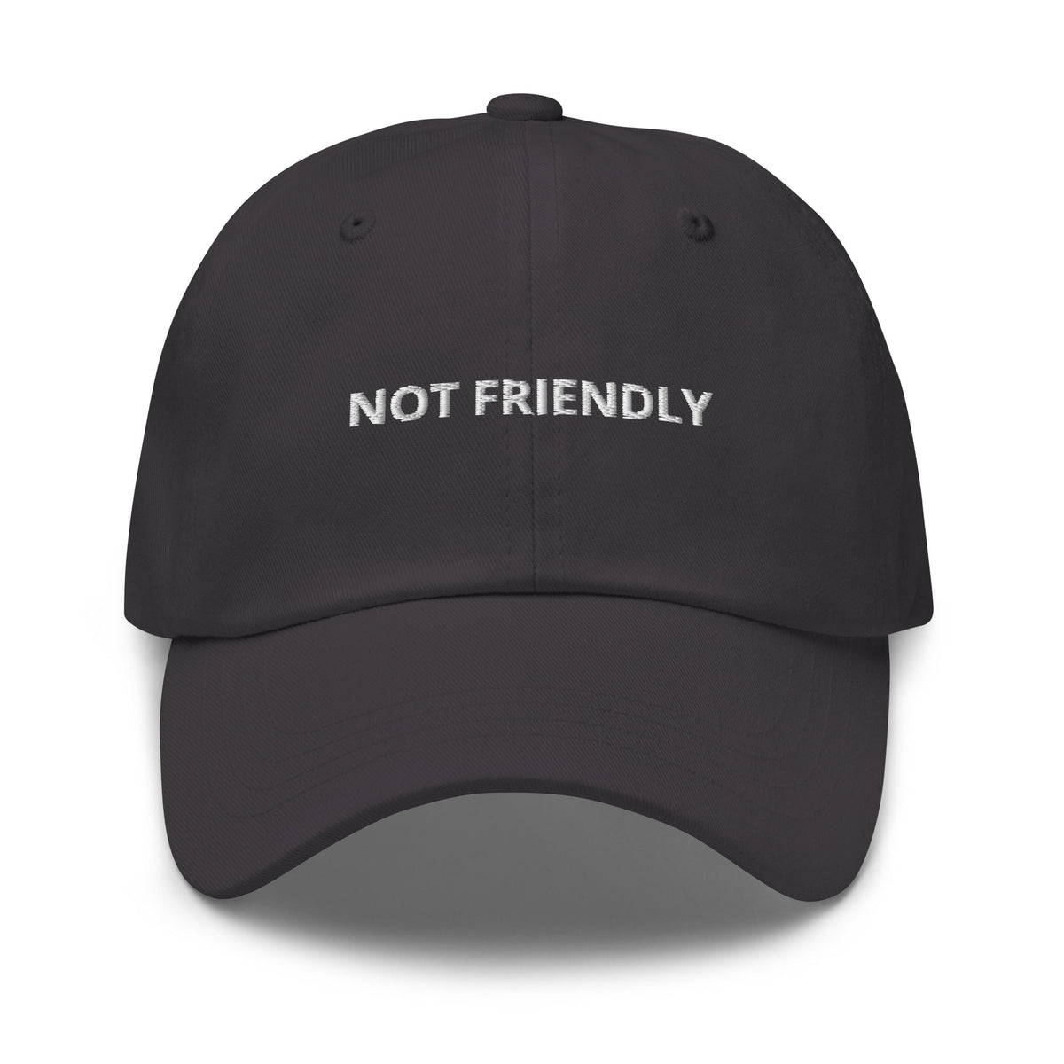 Not Friendly Dad Hat - ninanush