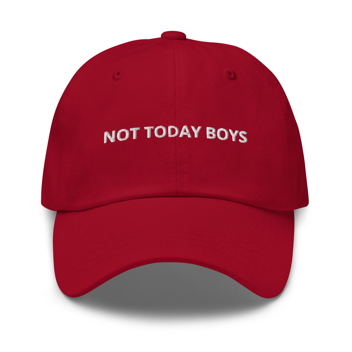 Not Today Boys Dad Hat - ninanush