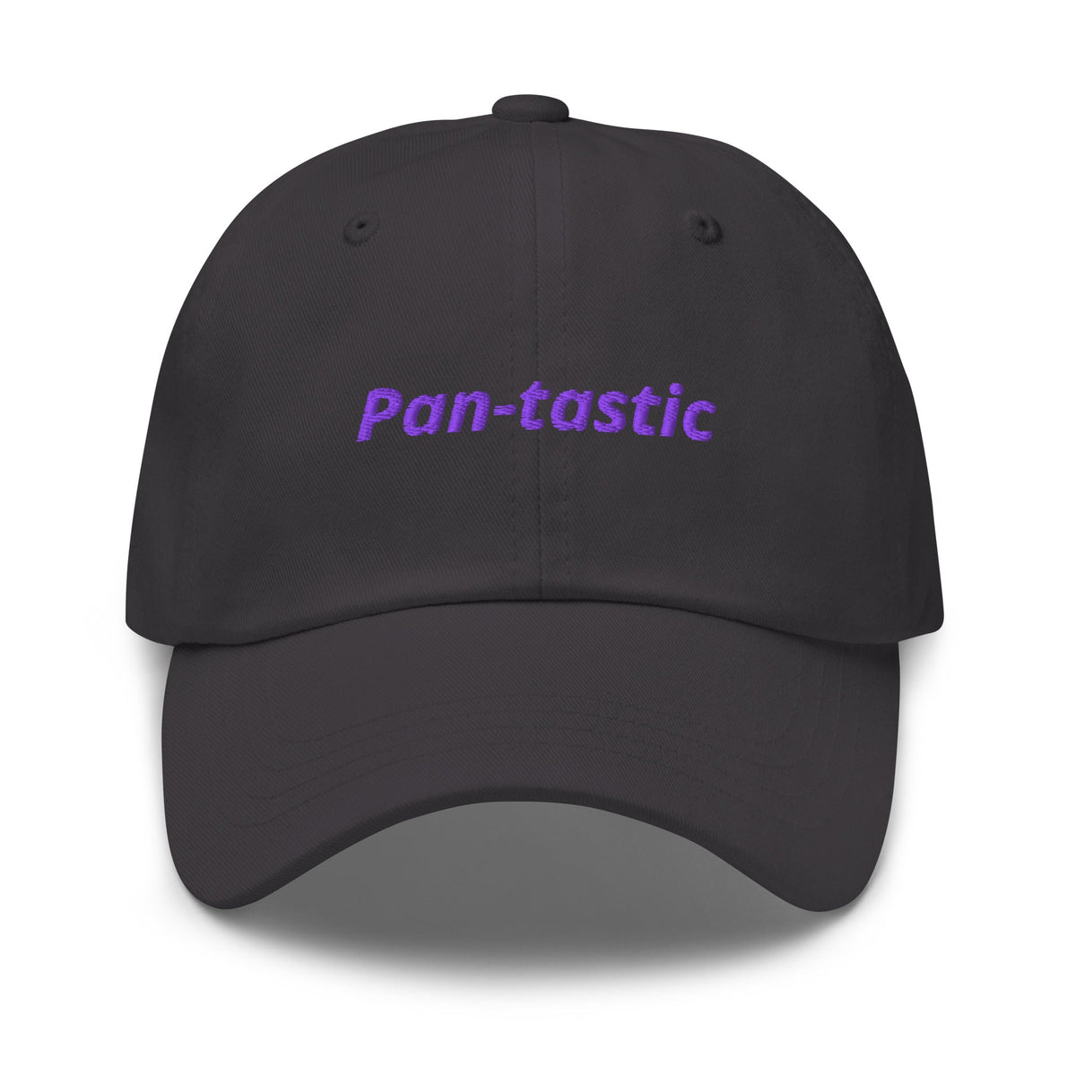 Pan-tastic Dad Hat - ninanush
