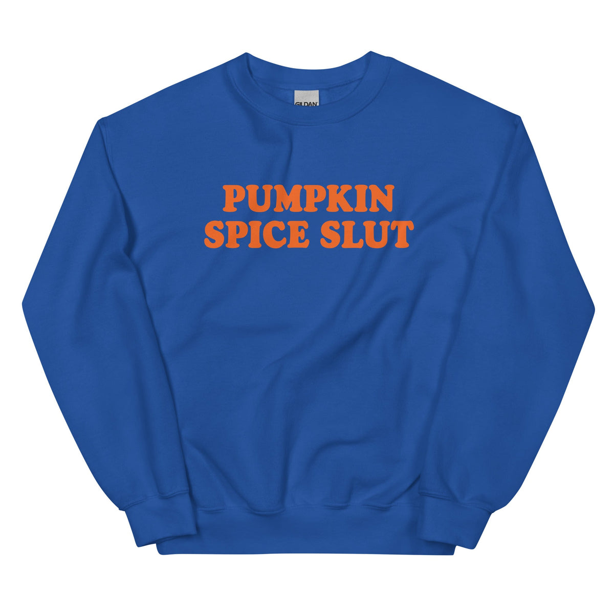 Pumpkin Spice Slut Sweatshirt - ninanush