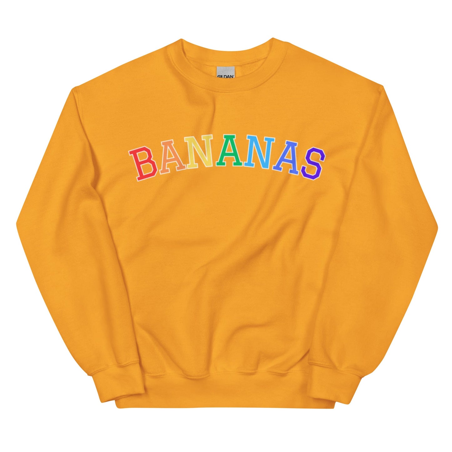 Rainbow Bananas Sweatshirt - ninanush
