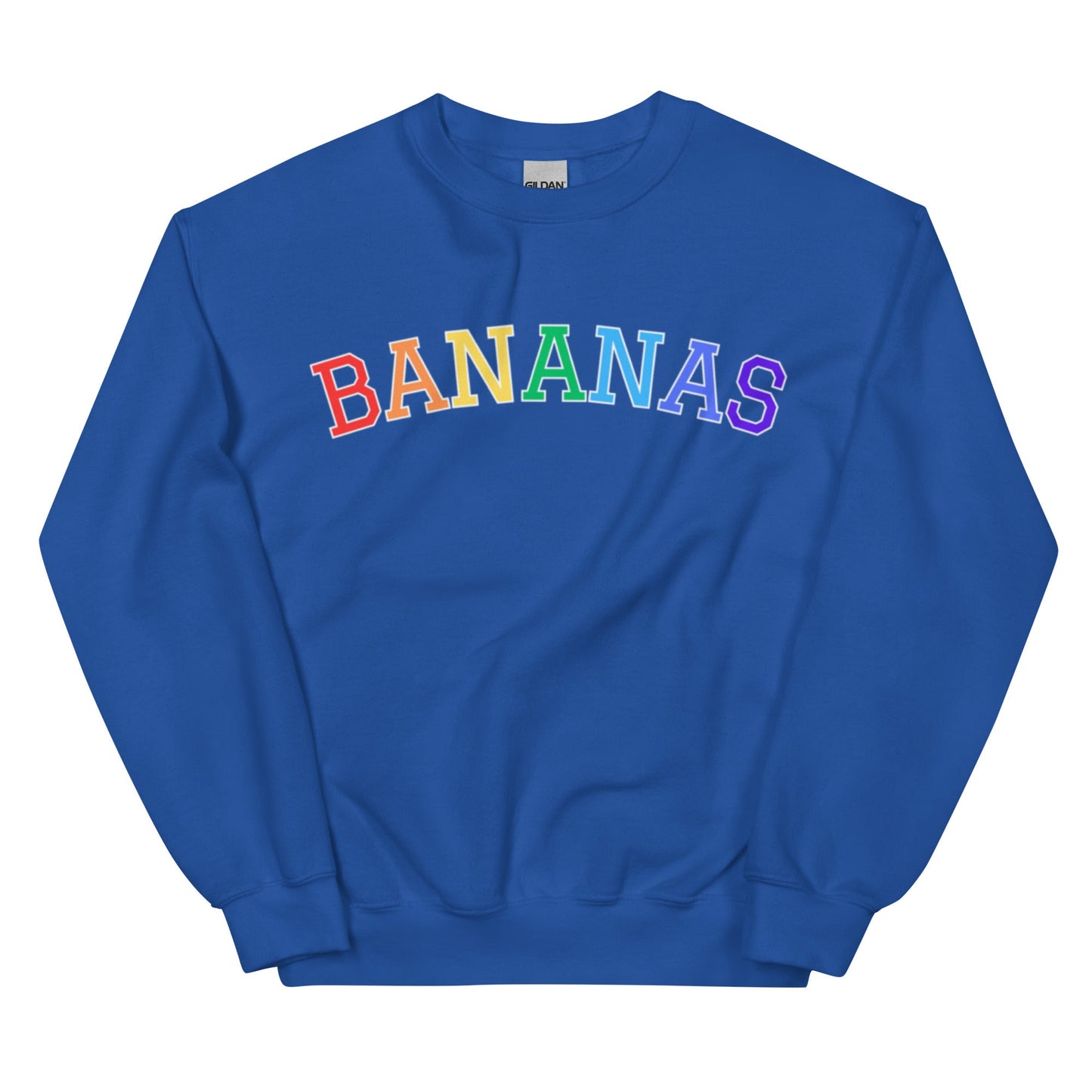 Rainbow Bananas Sweatshirt - ninanush