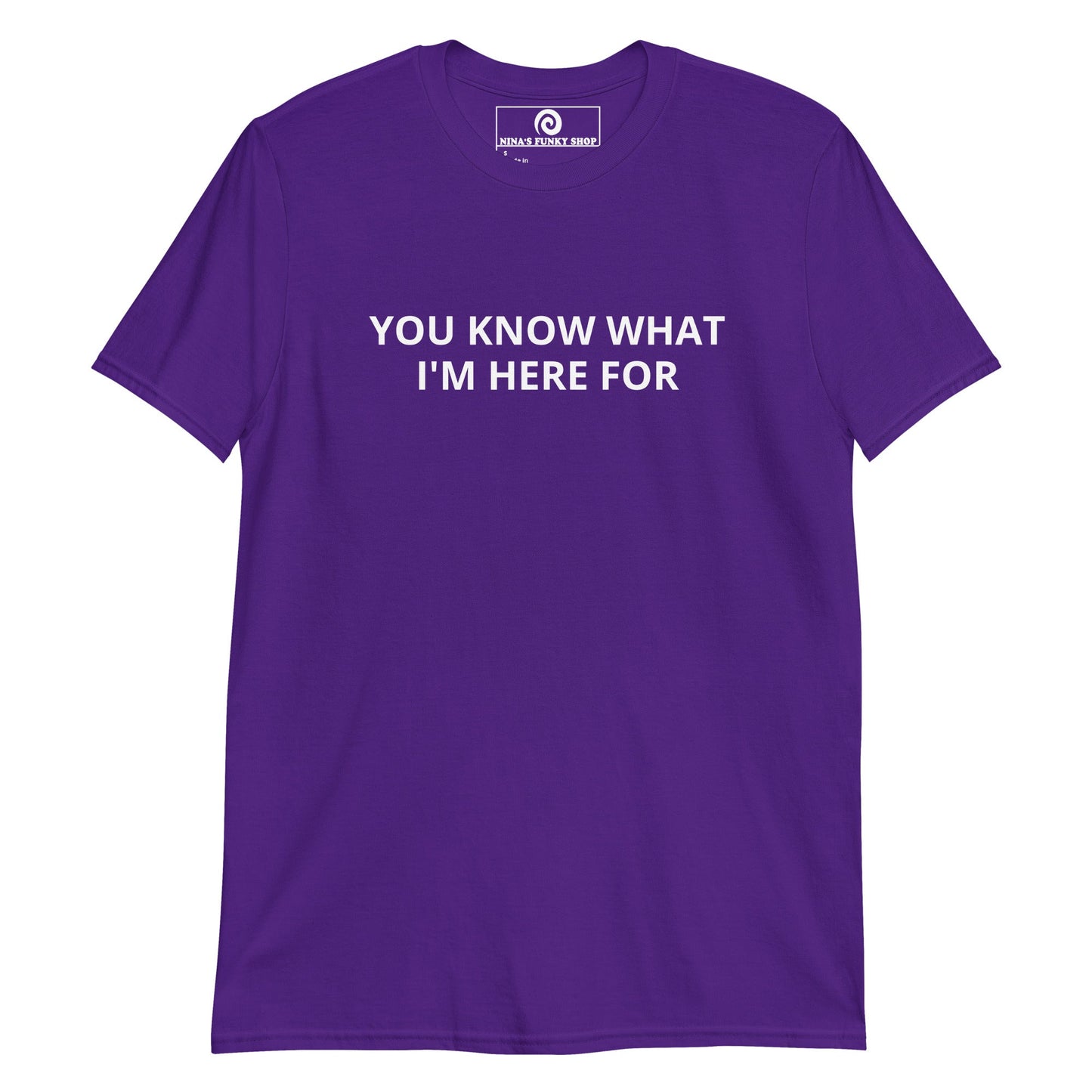 You Know What I'm Here For T-Shirt - ninanush