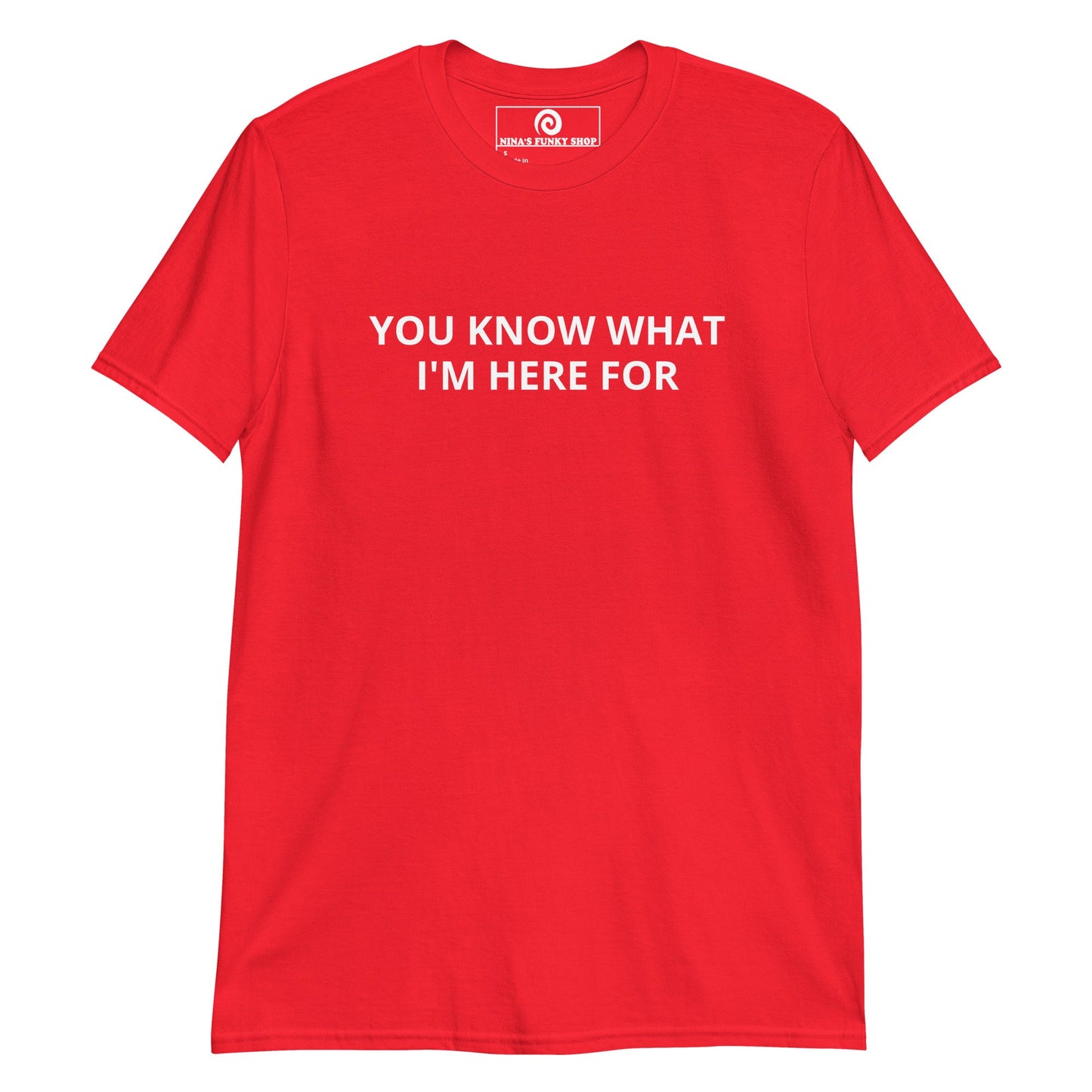 You Know What I'm Here For T-Shirt - ninanush